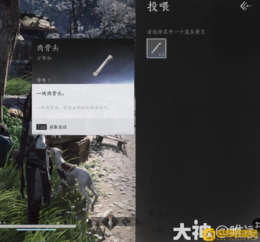 燕云十六声深夜犬吠任务怎么做