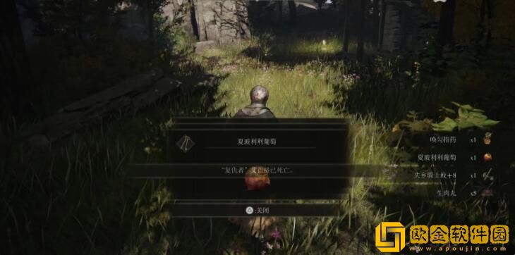 艾尔登法环海妲支线流程