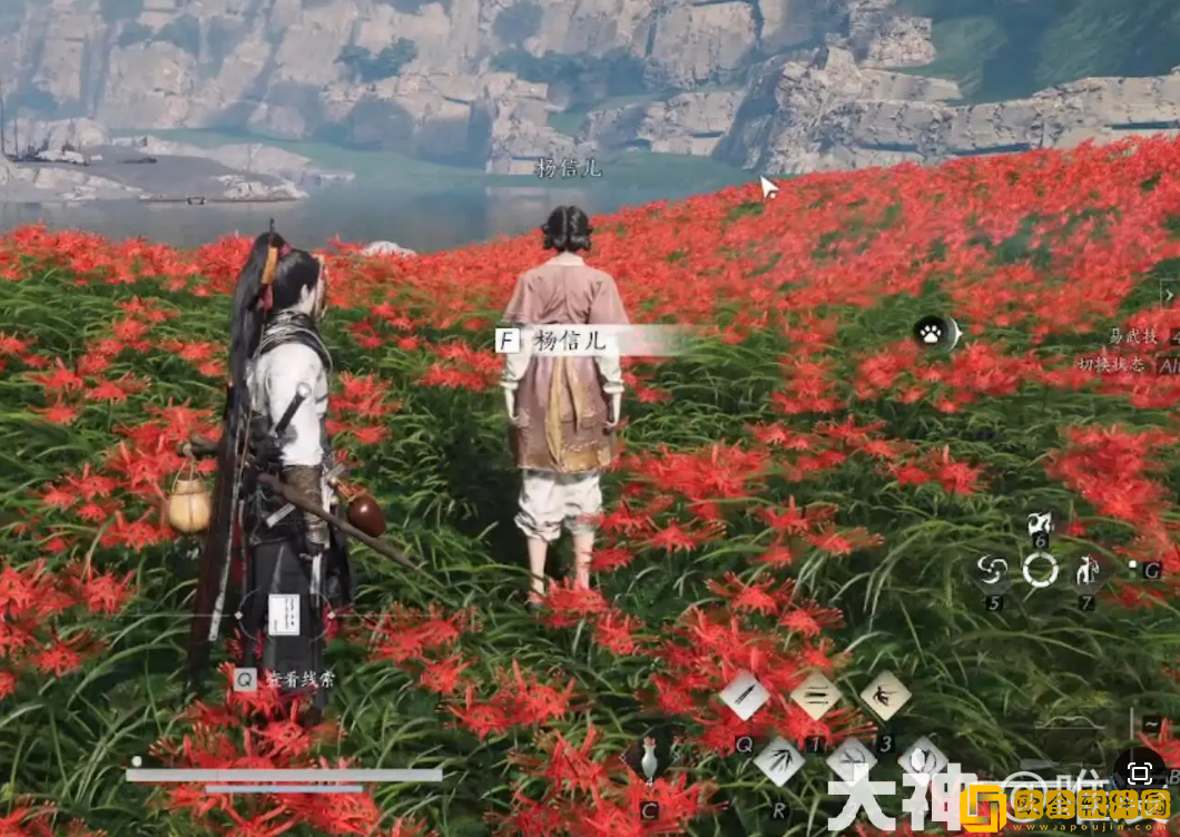 燕云十六声花中愿任务怎么做