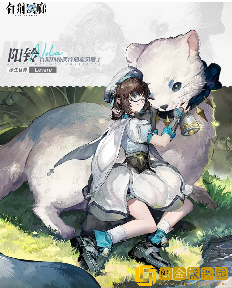 白荆回廊预抽卡选什么