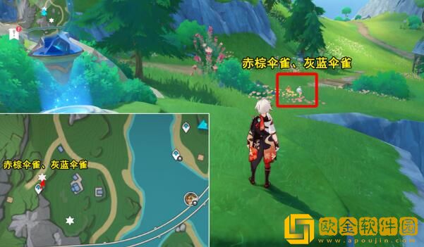 原神光影研学旖旎水界第四天怎么通关