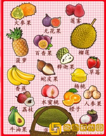 汉字找茬王开心水果汇让各种水果归位怎么过关
