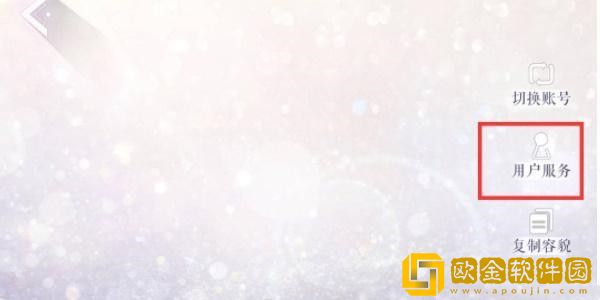 以闪亮之名兑换码在哪里输入