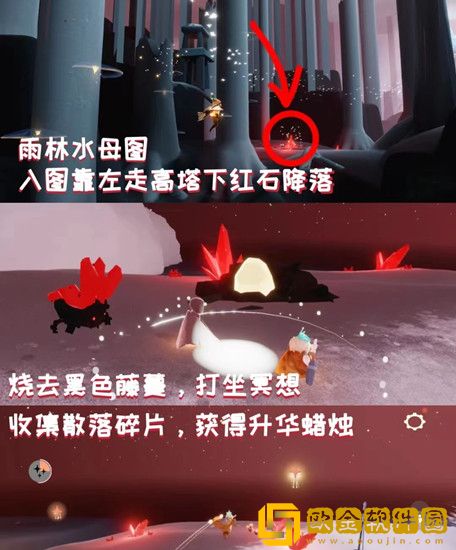 光遇8.17每日任务怎么做