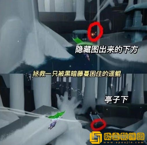 光遇8.10每日任务