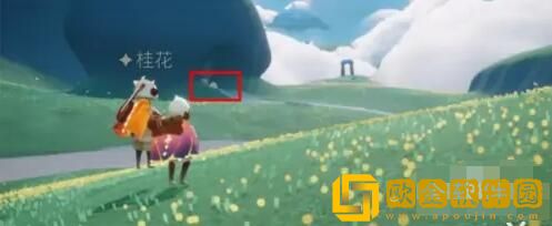 光遇云野大笑先祖位置在哪-光遇云野大笑先祖位置介绍