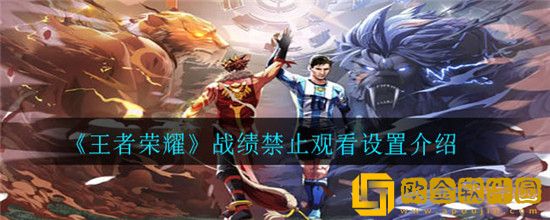 王者荣耀怎么隐藏自己的战绩-怎么设置战绩里面不给看详情