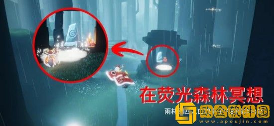 光遇荧光森林冥想位置在哪