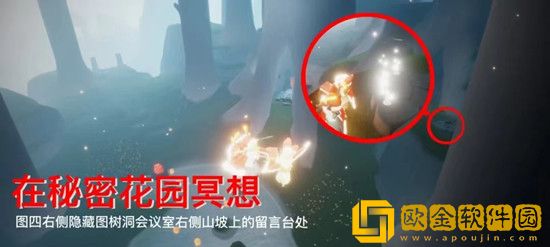 光遇8.17每日任务怎么做