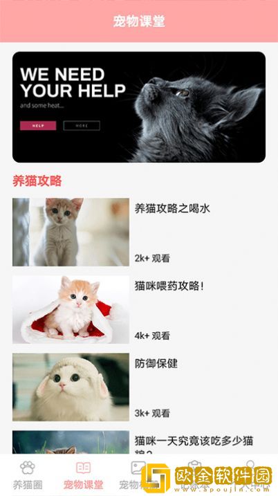 遇见我的猫养猫