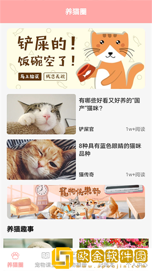 遇见我的猫养猫