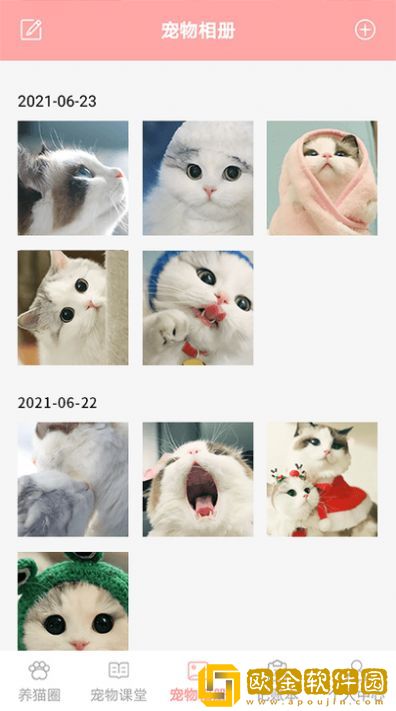 遇见我的猫养猫