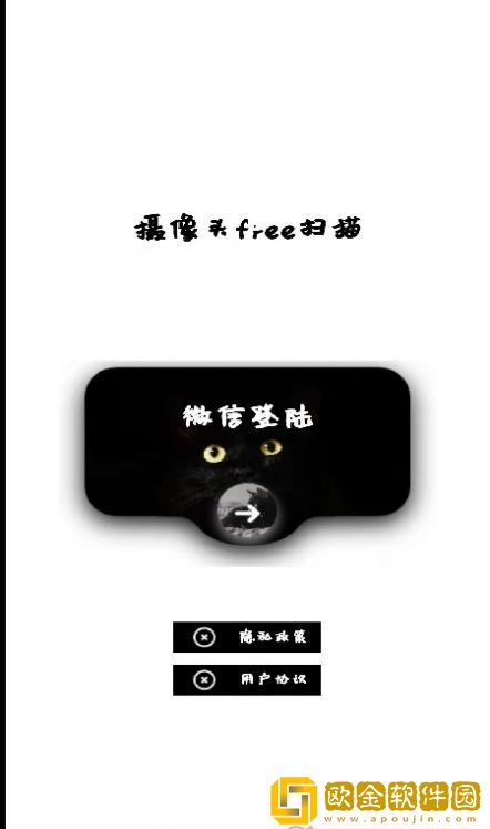 网络摄像头检测器