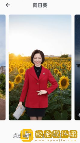 木瓜看点