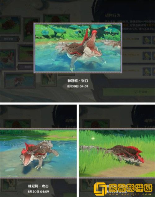 原神动物行为在哪里拍摄