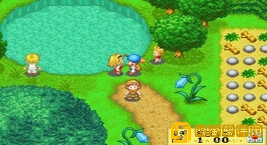 牧场物语精灵驿站