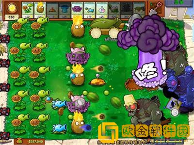 植物大战僵尸杂交版