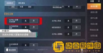 和平精英怎么隐藏历史战绩