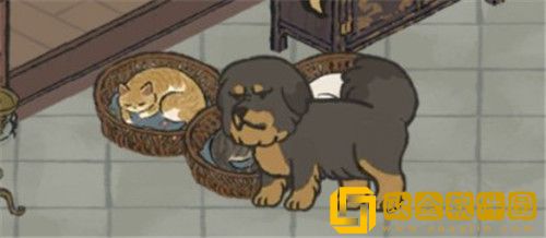 江南百景图狮子狗藏獒怎么获取-江南百景图狮子狗藏獒获得攻略