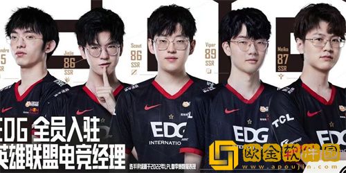 英雄联盟电竞经理EDG和RNG哪个强-英雄联盟电竞经理EDG和RNG优缺点对比