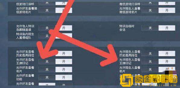 和平精英王*
印记怎么隐藏