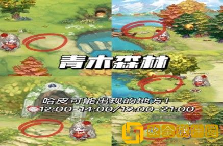 奥比岛哈皮在什么地方