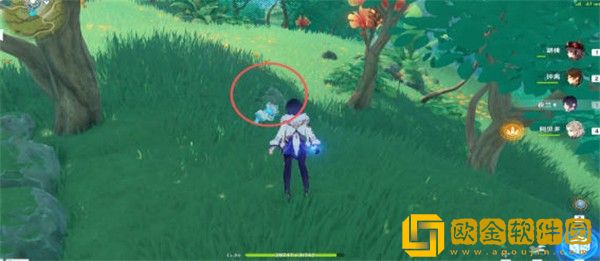 原神证悟木最快怎么收集-原神证悟木最快收集攻略
