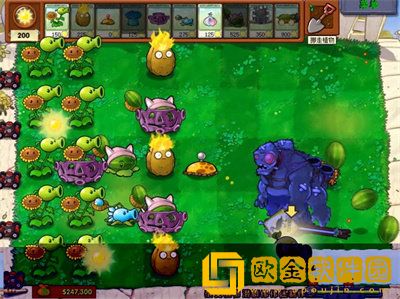 植物大战僵尸杂交版