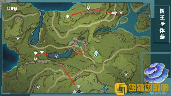 原神树王圣体菇怎么采集