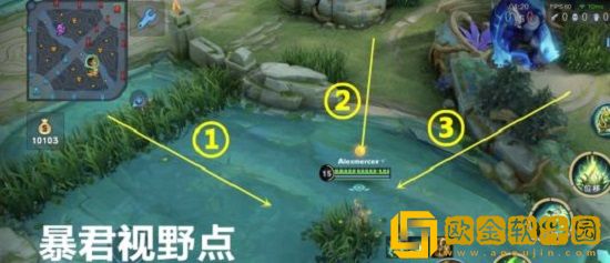 王者荣耀怎么卡视野