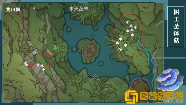 原神树王圣体菇怎么采集