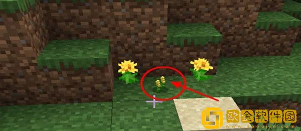 我的世界怎么养蜜蜂