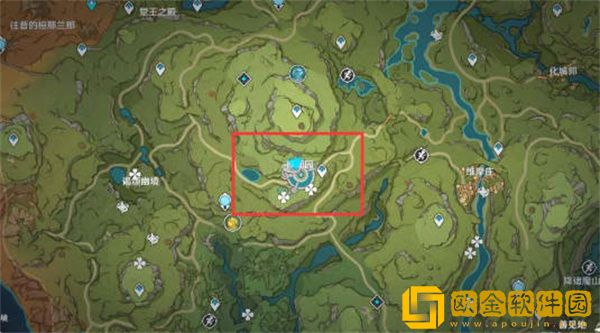 原神辉木怎么快速采集-原神辉木快速采集路线介绍