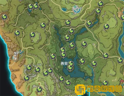 原神草神瞳在哪里收集