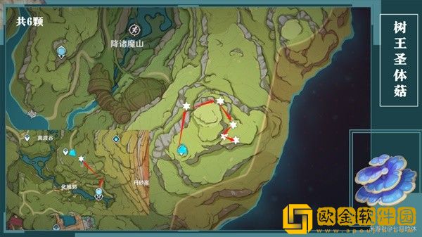 原神树王圣体菇怎么采集