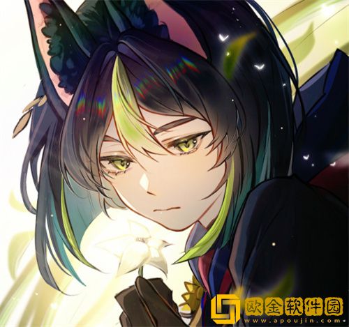 原神提纳里和钟离哪个好