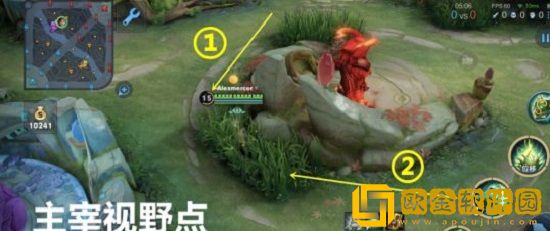 王者荣耀怎么卡视野