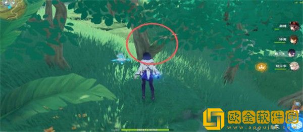 原神证悟木最快怎么收集