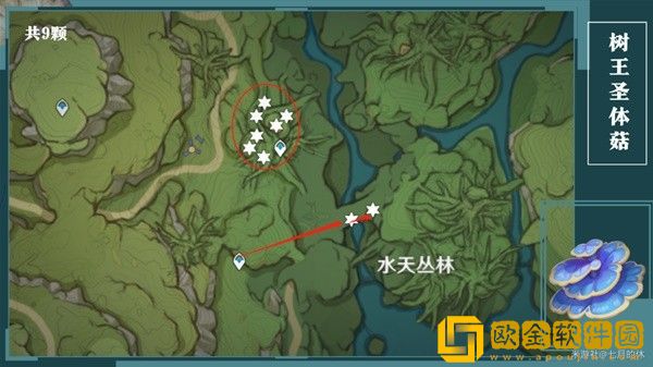 原神树王圣体菇怎么采集