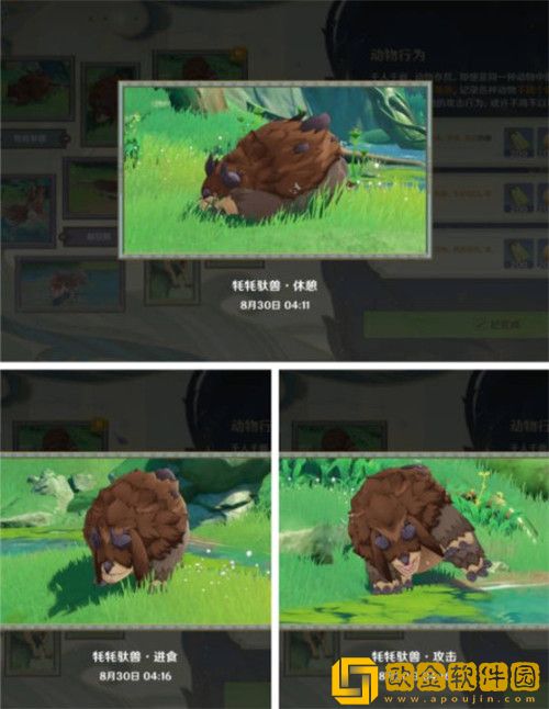 原神动物行为在哪里拍摄