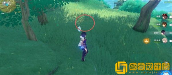 原神证悟木最快怎么收集