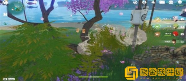 原神梦见木在哪里采集