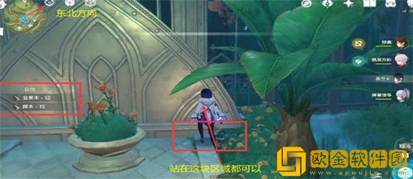 原神辉木最快采集路线是怎样的