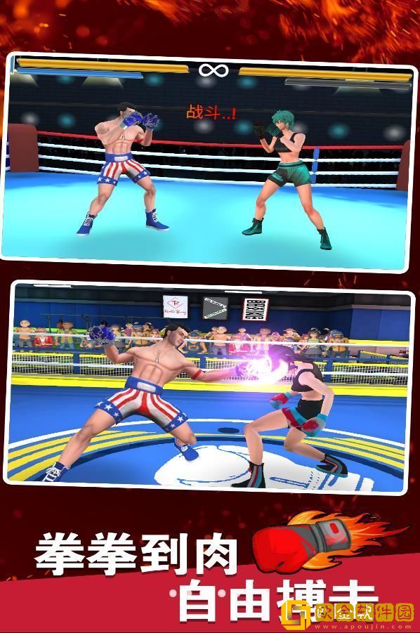 拳击明星对决