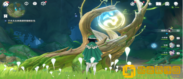 原神与珍惜之鸟的短暂邂逅任务要怎么样通过