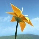 陈星汉flower