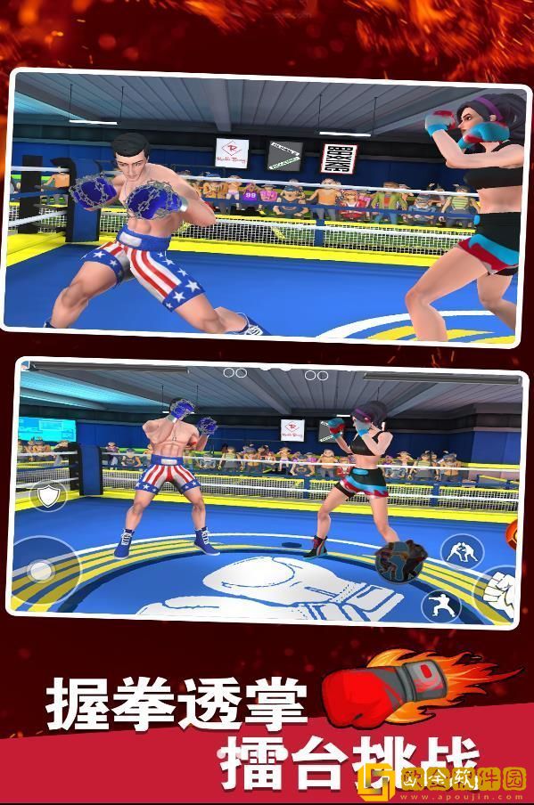 拳击明星对决