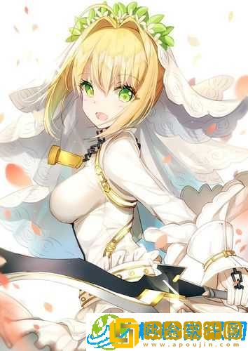 FGO 尼禄祭-刷材料的绝佳机会-你准备好了吗？