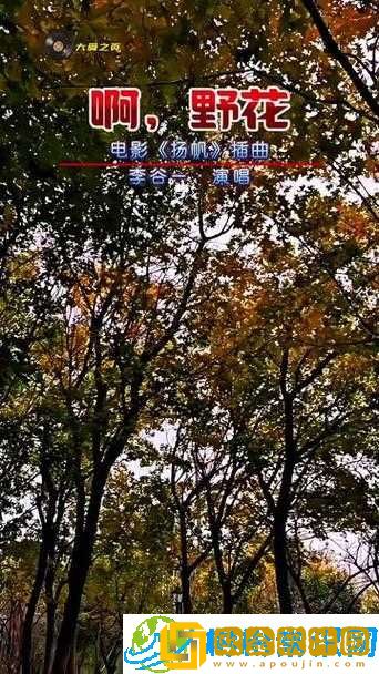 野花社区在线观看免费高清3-优质影视资源平台