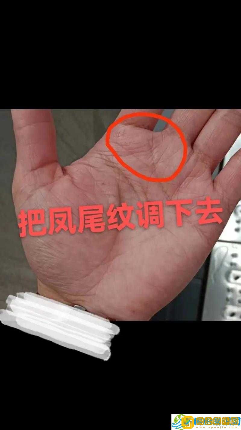 兔子复仇记-寻找佳音色彩蛋的秘密攻略